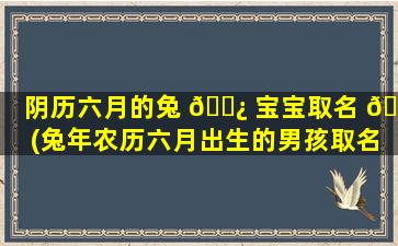 阴历六月的兔 🌿 宝宝取名 🌷 (兔年农历六月出生的男孩取名)